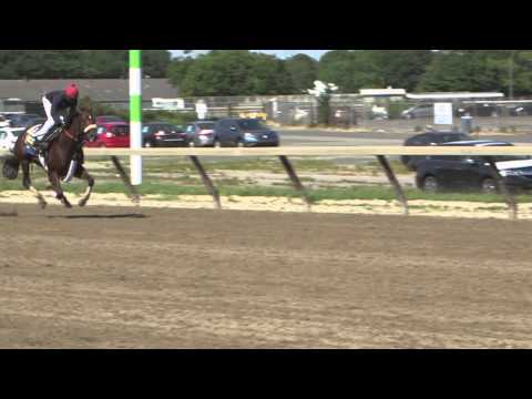 Wicked Strong works at Belmont Park June 1, 2014