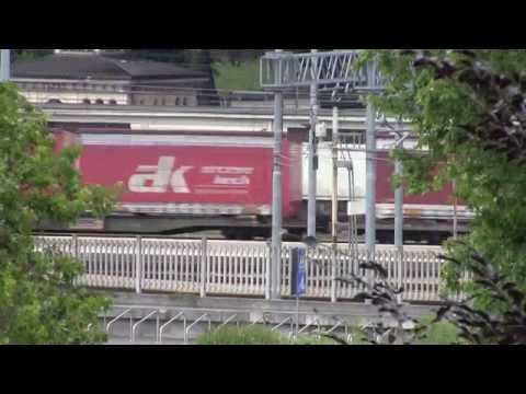 Treni a Monza - E655 con merci intermodale - 31/05/2014