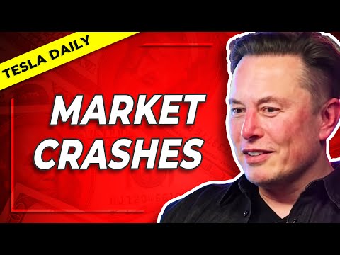 Market Crashes, Tesla Outperforms on Positive Supply Commentary
