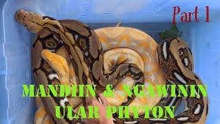 Most Watched Kedai Satwa - Cara Belanja Via Gojek (Goshop) & Grab (Express Nalangin