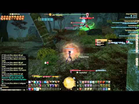 Final Fantasy XIV - 40 + 45 Bard Job Quests