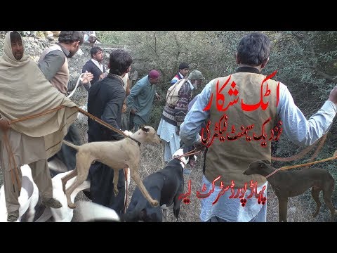 SEKAR HE SHEKAR 03026762824 movies