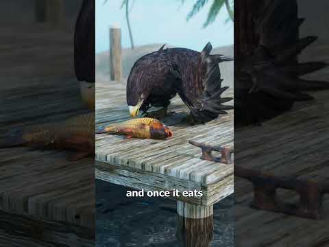 How A Worm Turns Fish Blind And Controls Them 😱