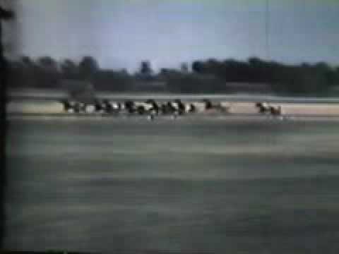 1958 Hambletonian - Emily's Pride