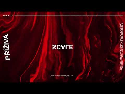 5.TREMOR GANE - PŘÍŽIVA (prod. FORMI x PAUL GERMAN)