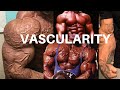 VASCULARITY | BLOOD PRESSURE | FATS ON A DIET