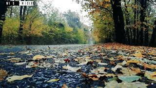 The Most Beautiful Quran Recitation That Will Touch Your Soul | Sheikh Abdul Rahman Mossad #quran