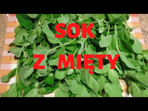 🌼 NAJLEPSZY SOK Z MIĘTY DO LEMONIADY