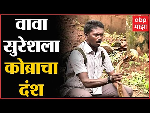 Vava Suresh Snake catcher : आतापर्यंत 50 हजार साप पकडले, आता कोब्राचा दंश, स्नेक कॅचर व्हेंटिलेटरवर!
