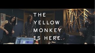 THE YELLOW MONKEY / ロザーナ