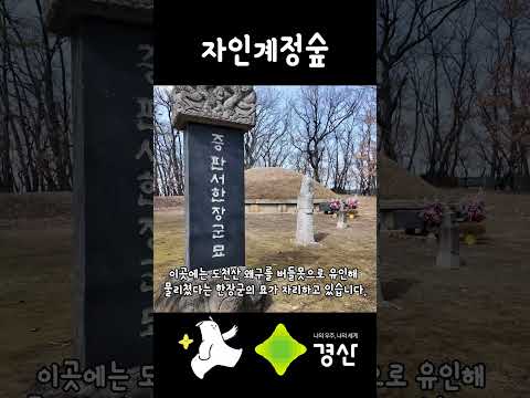 도심 속 신비로운 평지 천연림이 경산에 있다?! 경산 자인계정숲 풍경 한번 구경하세요!