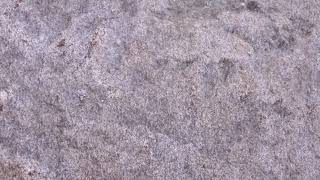 Whitesnake ,  Nighthawk ( Vampire Blues ) , Karaoke