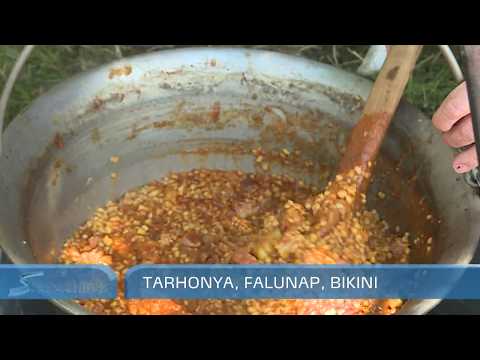 Megnéztük a tarhonyafesztivált Tápén - Szegedi Hírek - 2018.07.02.