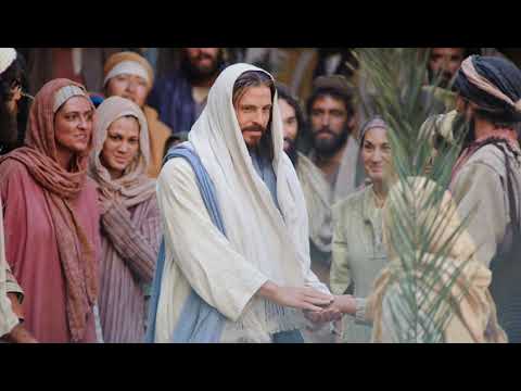 VIS Karizma-Hosana Sinu Davidovu