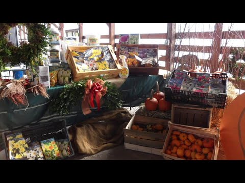 NJ Sussex County Honey & Garlic Festival Cancelled