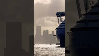 Scarlet Lady ⚓️🛳️ #like #share #subscribe #shortvideo #shortsvideo #cruise #vacation #youtubeshorts