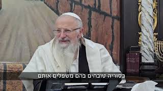 מי שכרת איתך ברית - אתה מחויב לעמוד לצידו | הרב שמואל אליהו | הלכה יומית | כ״א תמוז תשפ״ה (הרב שמואל אליהו) - התמונה מוצגת ישירות מתוך אתר האינטרנט יוטיוב. זכויות היוצרים בתמונה שייכות ליוצרה. קישור קרדיט למקור התוכן נמצא בתוך דף הסרטון