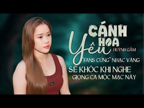 LK CÁNH HOA YÊU - HUỲNH GẤM | Người Hâm Mộ Nhạc Vàng Chính Hiệu Sẽ Khóc Khi Nghe Giọng Hát Này