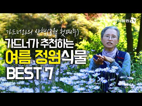 , title : '[가드너와의 산책]  가드너가 추천하는 여름 정원식물 BEST 7'