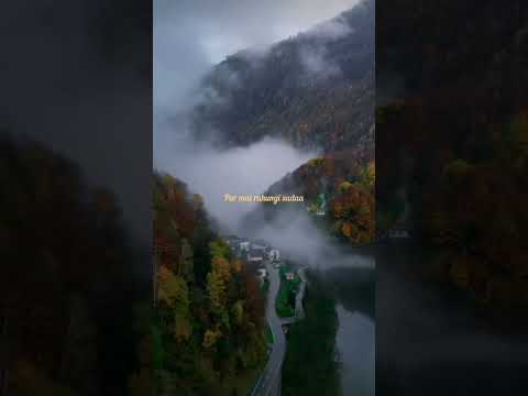 Badle raaste jharne aur nadi lyrics | Kaise mujhe tum mil gayi | Shreya Ghoshal | WhatsAppstatus