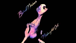 Midnight Oil - Bird Noises EP - Full album