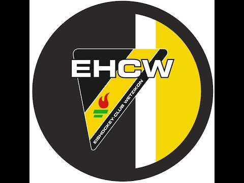 EHC Wetzikon 1 Mannschaft Gruppen Masters at Silverstone Porsche GT3