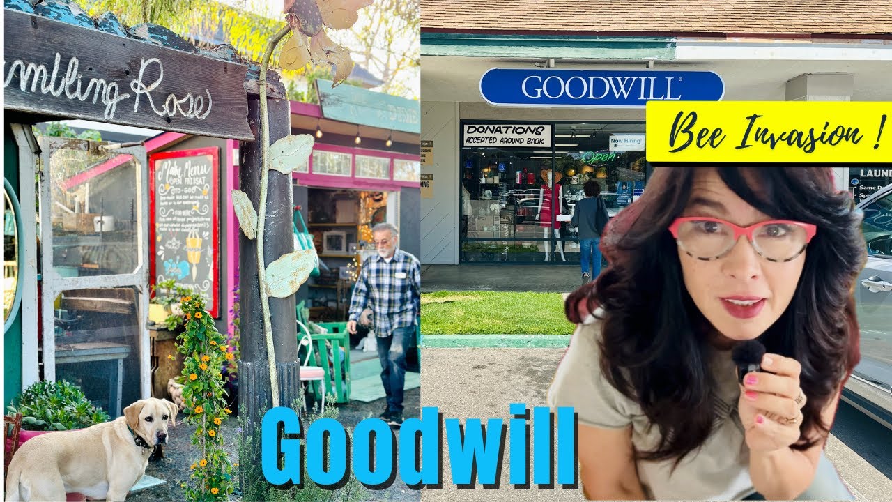 Garden ART ideas Upcycling Goodwill Bargains into Beautiful Garden decor & Bumble Bee invasion