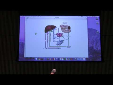 Cholesterol & Fatty Acid Metabolism - Kevin Ahern's BB 451 Lecture #37 2017