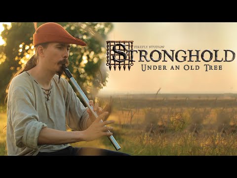 Stronghold - Under an Old Tree - Cover by Dryante