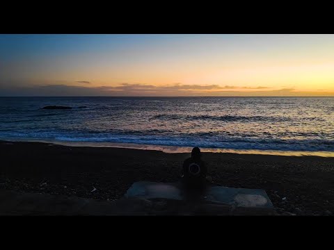 Private Paul - Statusbericht 2020