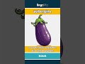 aubergine (noun) - definition and usage in English
