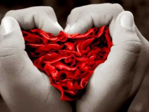 Tutti i colori della mia vita  - Zucchero -