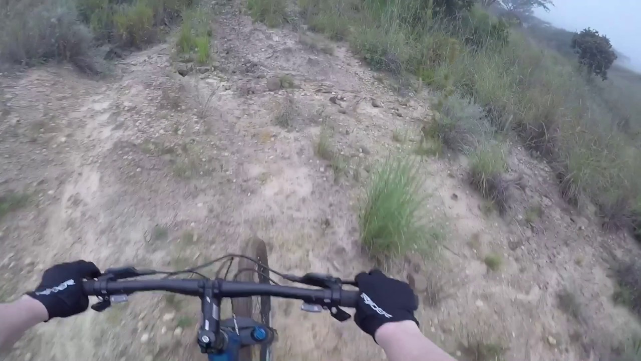 Mountain Biking at Three Tree Hill - From guests