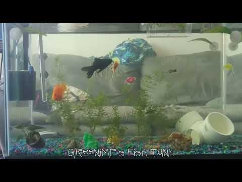 The Snow Plow Show Episode 851 - Mildreds