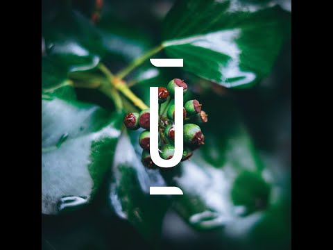 Decka - Elimination Techniques (Philipp Gorbachev VDNH Mix) [WEGS003]