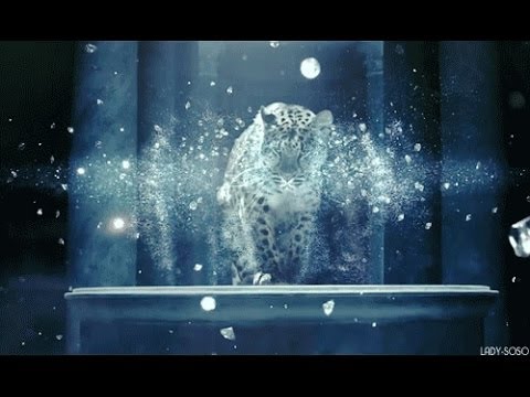 L'Odyssée de Cartier - ATB Enigmatic