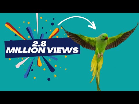 indian parrot different voices