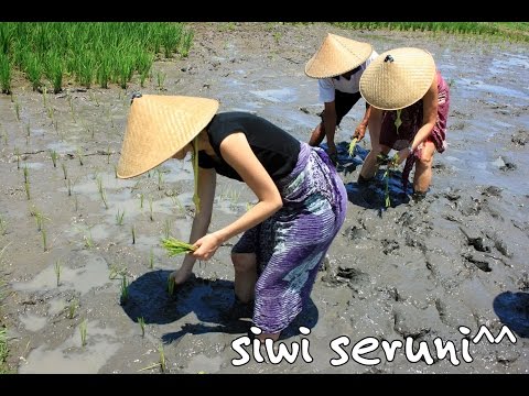 Gending Jawa Ladrang Asmaradana Pl 6