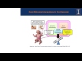 ILSI NA FNSP2016 Non Invasive Methods For Assessing Host Microbe Interactions Sharon Donovan