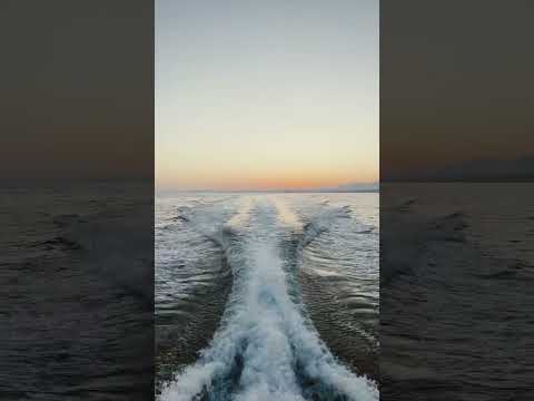 One of these mornings