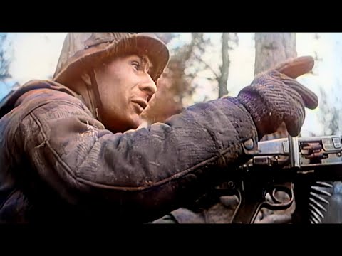 East Pomeranian offensive by the Soviet Red Army against the German Wehrmacht, Eastern Front #ww2