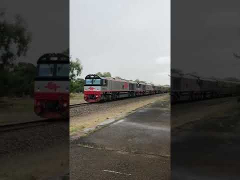 TRAINS AM22 SCT 6MP9 CSR14 CSR13 CSR20 22/01/2022