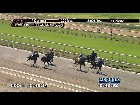 210829 c01 MR. ELGUEVIL