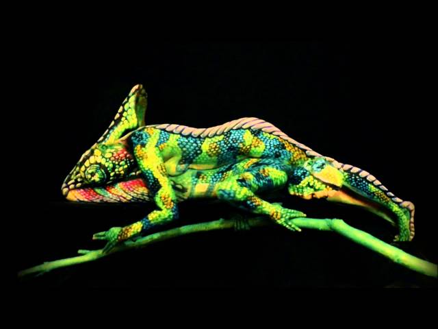 Johannes Stötter Art | Fine Art Bodypainting, Nature-Art, Performance