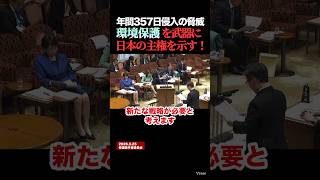 【尖閣の危機】年間357日も侵入！中国「海軍並み」武装船にどう立ち向かう？  #ニュース #国会 #shorts #榛葉賀津也 #榛葉幹事長 #玉木雄一郎 #山田吉彦 #高市早苗