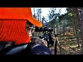 HUNTING WHITETAIL DEER 2019 Remington 788 In 308 RON THE LEGEND Pennsylvania Rifle Season Doe