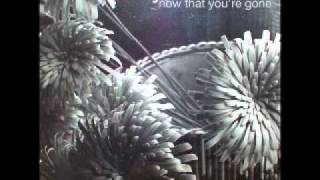 Ryan Adams - If I Am A Stranger (7&quot; Version)