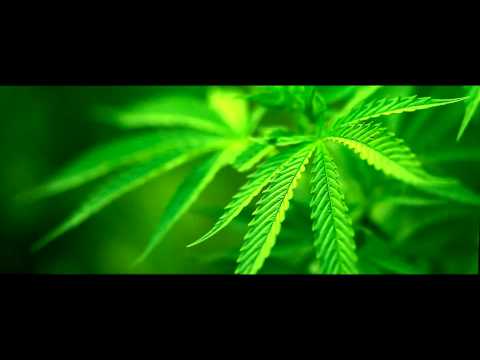 Explo feat. Timp - Ich und mein WeeD.mp4