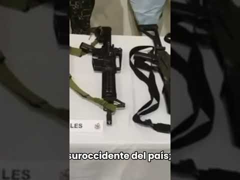 Neutralizado alias “Efrén” de  las disidencias de Mordisco en Vichada