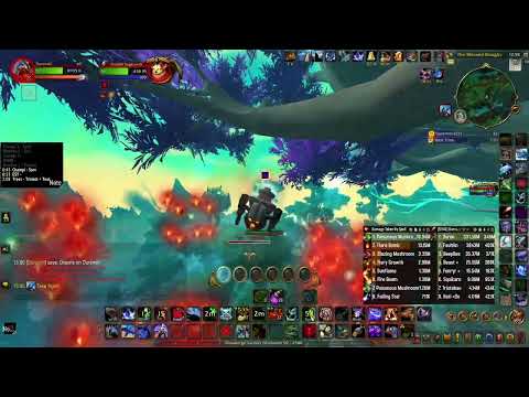 Hunter solo - Durendil vs Mythic Tindral Sageswift